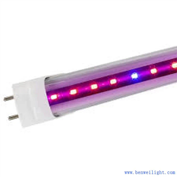 روشنی بڑھو اور کھڑے ہو جاؤ