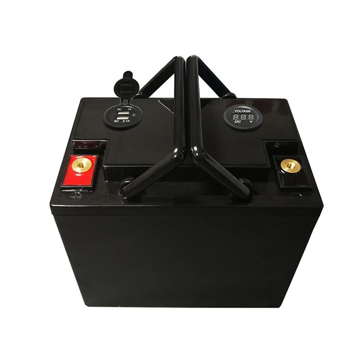 bms lifepo4 battery 12v 100ah