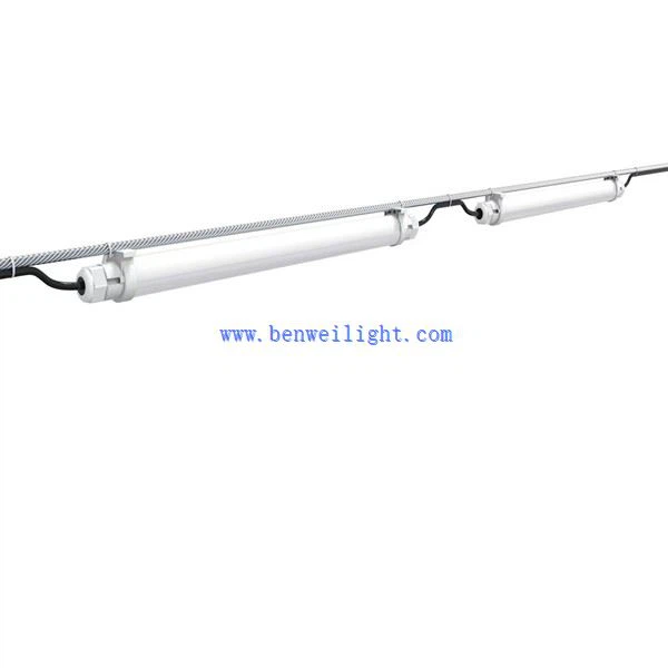 ایل ای ڈی برائلر لائٹنگ