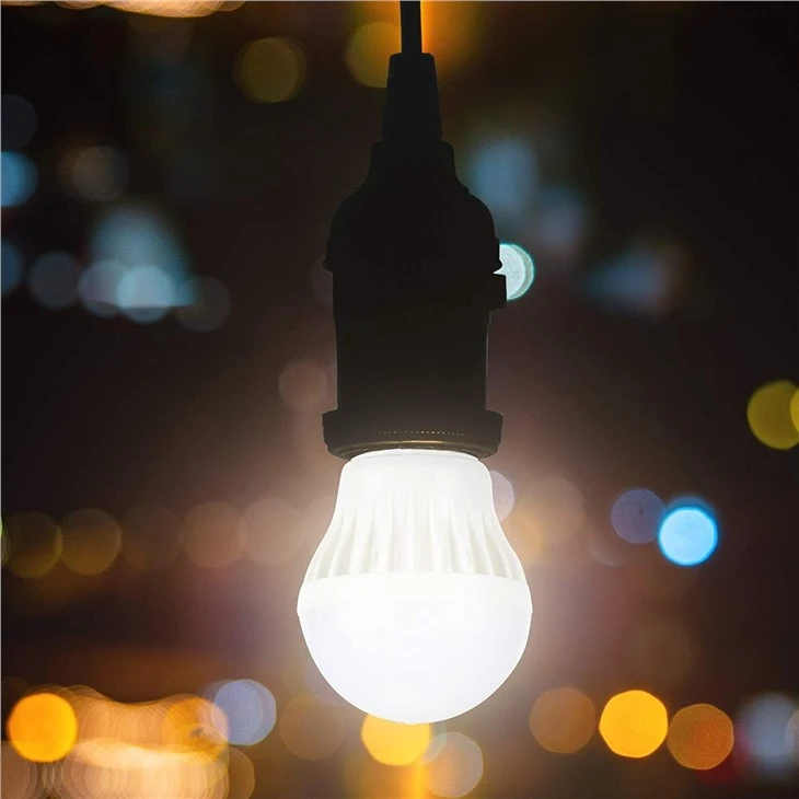 6v 6w bulb application