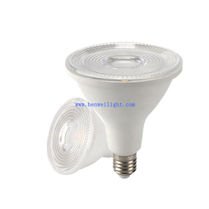 75w par30 bulb (15)