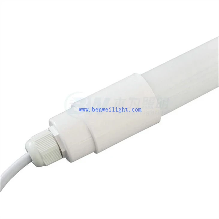 best light for chicks (10)