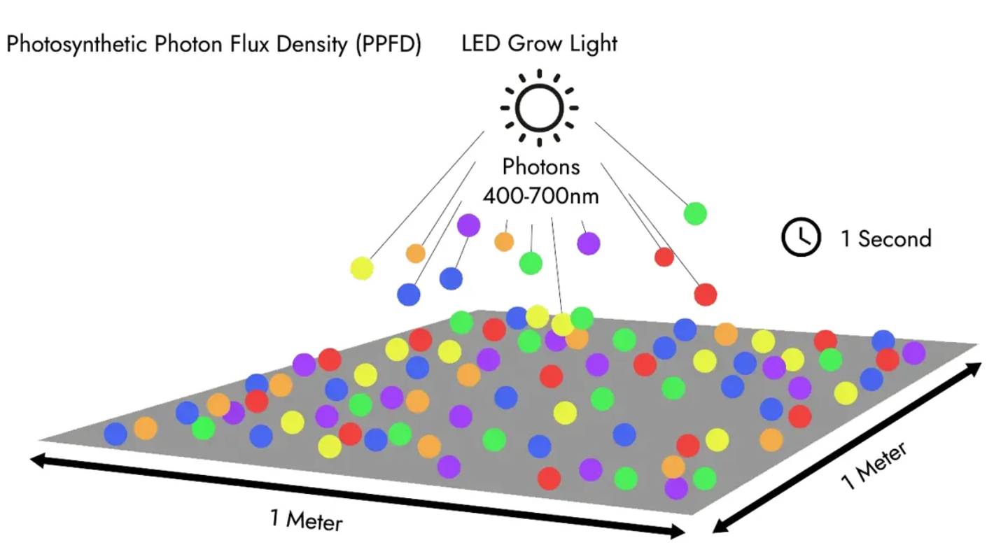 QQ20260126-180405 QQ20260126-180405