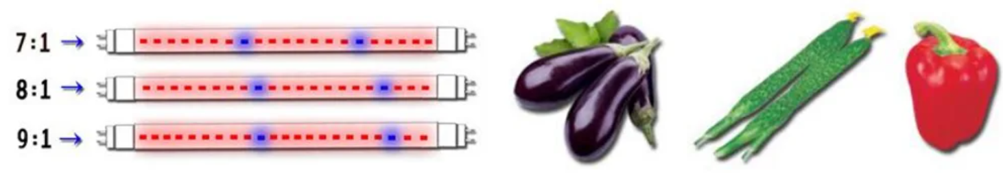 QQ20260126-182732 QQ20260126-182732