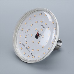 QQ20260128-151724 QQ20260128-151724