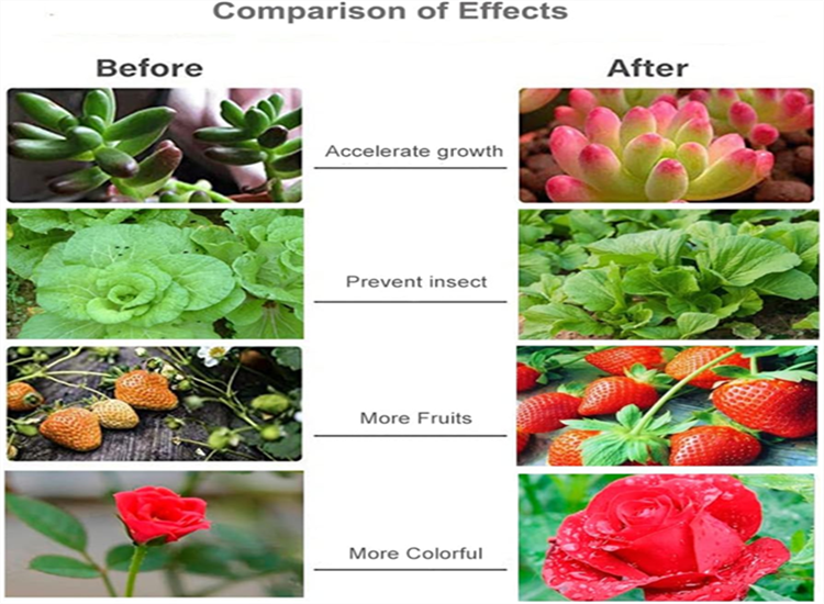 info-750-550 info-750-550