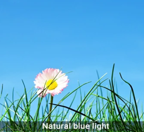 info-496-454 info-496-454