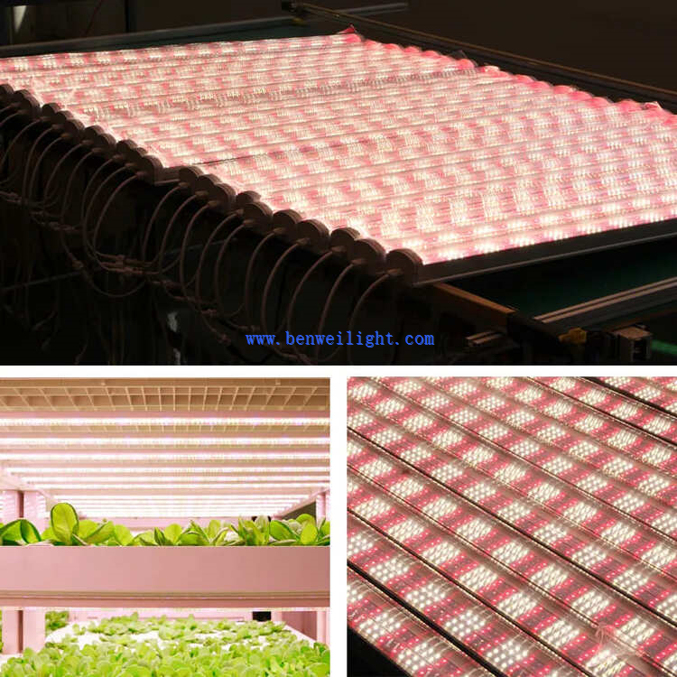 T20 LED Plant grow light 5 T20 LED Plant grow light 5