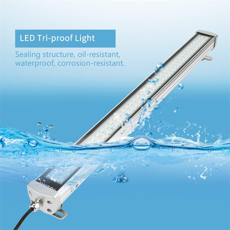 product-750-750 product-750-750