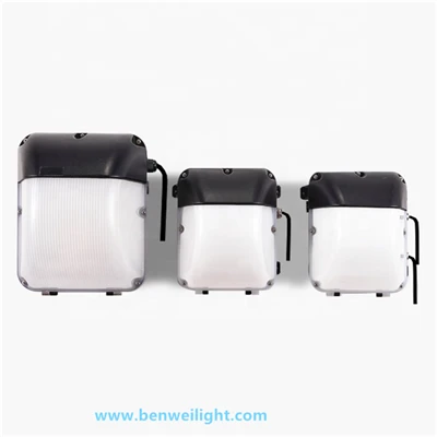 صنعتی ایل ای ڈی وال لیمپ 30W-100W IP66 آؤٹ ڈور